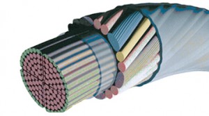 cordage multifilament